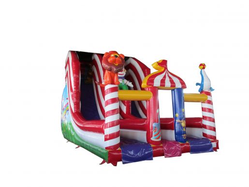 Maxi Slide Circus Image
